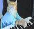 Charlie Schmidt's Keyboard Cat