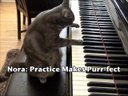 Piano kat